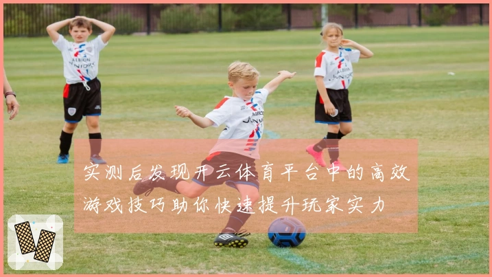 实测后发现开云体育平台中的高效游戏技巧助你快速提升玩家实力