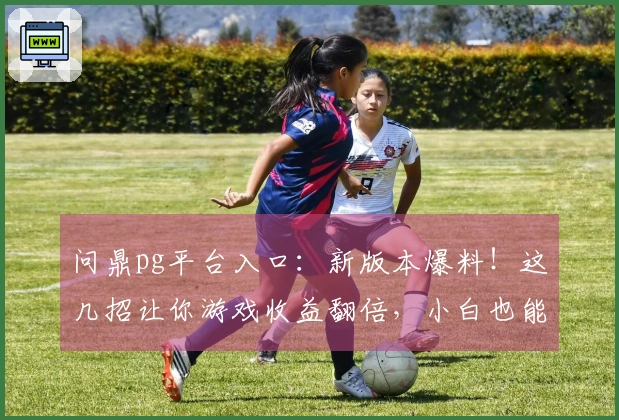 问鼎pg平台入口：新版本爆料！这几招让你游戏收益翻倍，小白也能轻松上手！